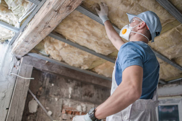 Best Insulation Materials and Products in Mayfair, CA