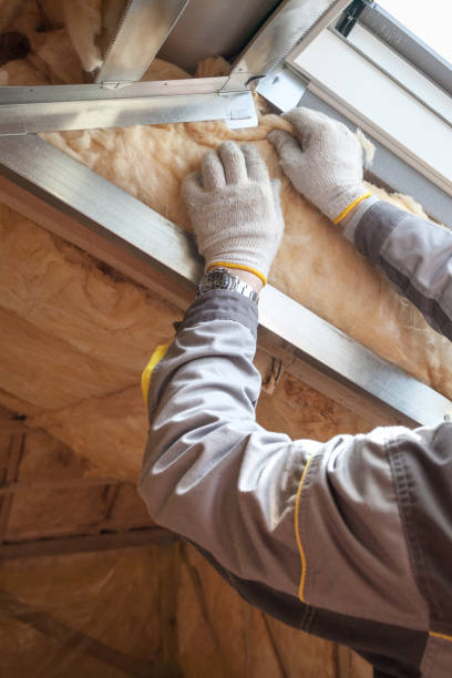 Best Insulation Installation Services in Mayfair, CA