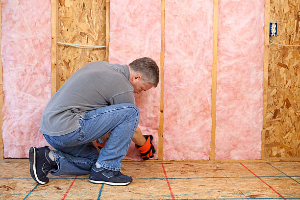 Best Types of Insulation in Mayfair, CA